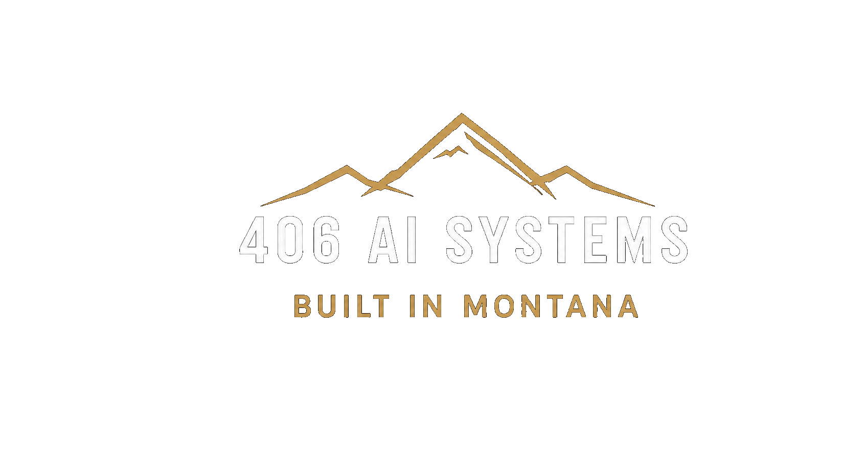 406 AI Systems